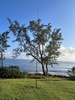 G4SGX/6Y Image